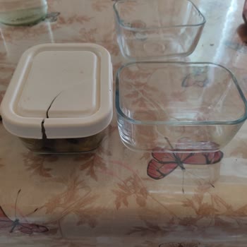 Paşabahçe Saklama Kabı Sorunu