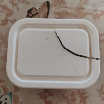 Paşabahçe Saklama Kabı Sorunu