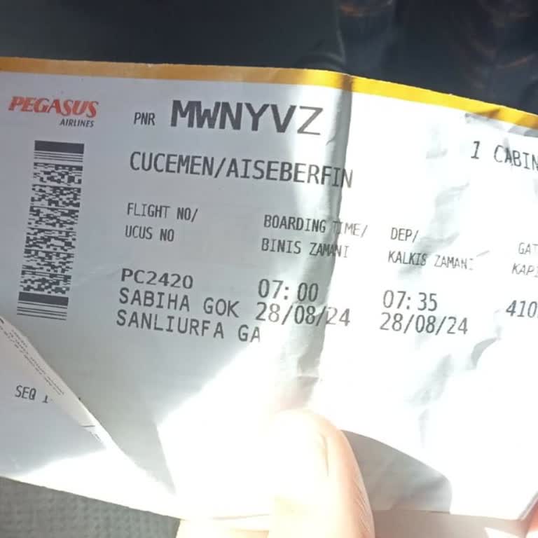 Pegasus Emanet Teslim Ettiğimiz Bavullar Kayıp