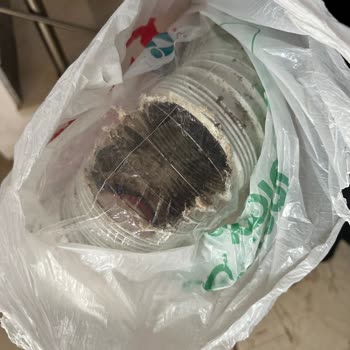 İBB Kanalizasyondan Gelen Fare Sorunu Çok Acil