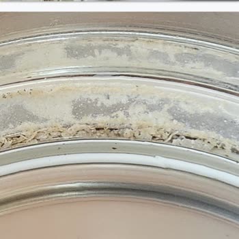 Arçelik Cam Çaycıda Kireç ve Oksitlenme Sorunu