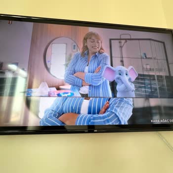 SEG / Vestel Televizyon Mağduriyetim!