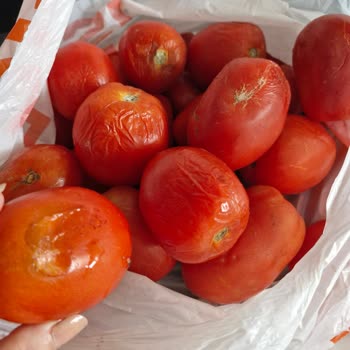 Migros'tan Alışveriş Pişmanlıktır