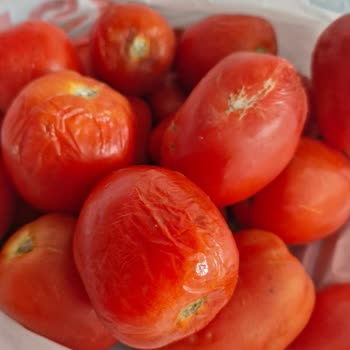 Migros'tan Alışveriş Pişmanlıktır