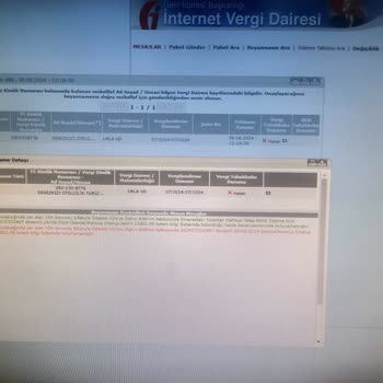 Gelir İdaresi Başkanlığı E Beyanname Hataları