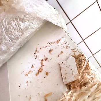 IKEA'nın Ayıplı Ürünü, Horoz Lojistik İade Sürecimi Gerçekleştirmemesi