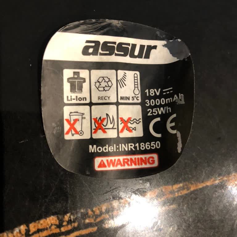 Assur Şarjlı Budama Testeresi