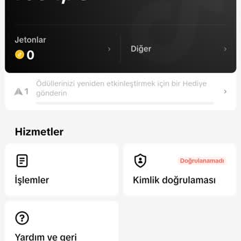 TikTok Hesap Güvenliği Sorunu