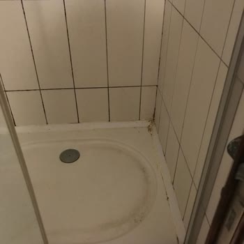 Hotel Baba Otelin Temizlik Ve Hijyen Sorunları