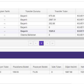 N11 Pazaryeri Satıcılarına Ödeme Yapmıyor, Paramızı Kullanıyor