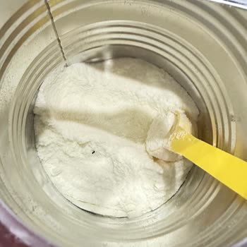 Golden Goat 1 İçinden Siyah Bir Şey Çıktı