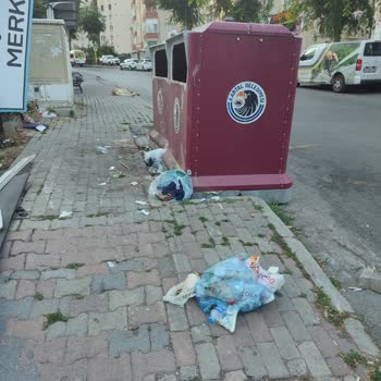 Kartal Belediyesinde Ki Çöpler Toplanmıyor Her Yer Pislik İçinde