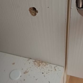 Öğretmenler Mobilya Etimesgut Şubesi Dolabımı Mahvetti