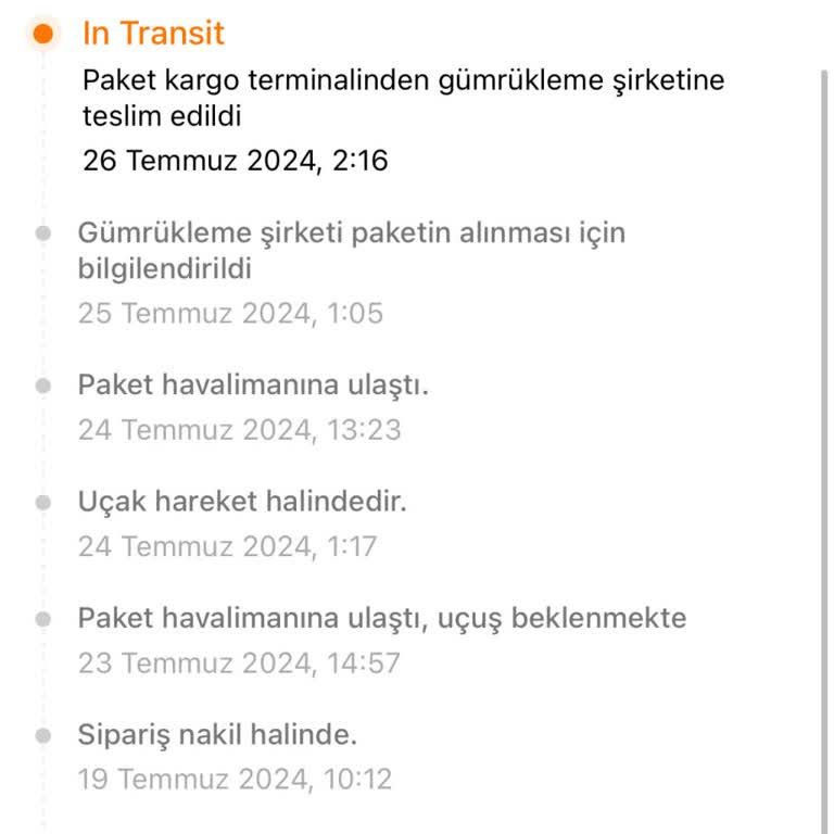 Temu Siparişim 1 Aydır Gümrükte