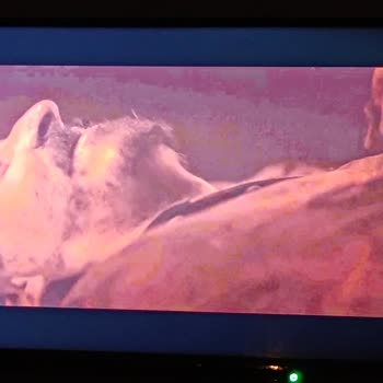 Persistent Quality Issues with My Toshiba TV 24WA3E63DT