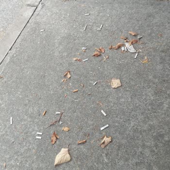 Kaynaşlı Belediyesi Düzce Çevre Temizliğine Önem Vermiyor