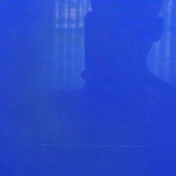 LG Oled Evo TV Panel Arızası