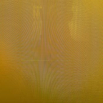 LG Oled Evo TV Panel Arızası