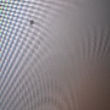 TCL 75C645 Üretim Hatası Amazon Ücretsiz İade Veya Değişim Yapmıyor