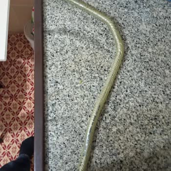 Luxell Ocak Ve Hortum Şikayeti