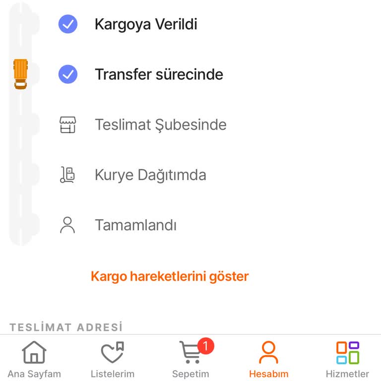 Hepsijet Kargonun Gecikmeleri F