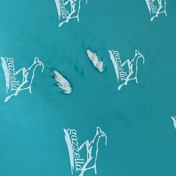 Gazella Ütü Masası Ve Basit Örtüsü