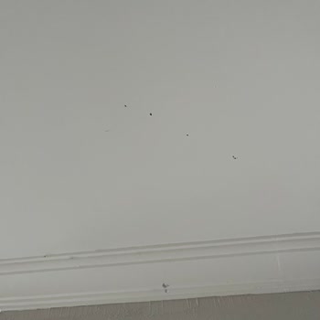 Letto Mobilya (İzmir) Letto Firmasından Alınan Mobilyalar.