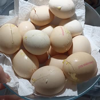 Bosch Buzdolabı Sürekli Sorun Çıkarıyor!