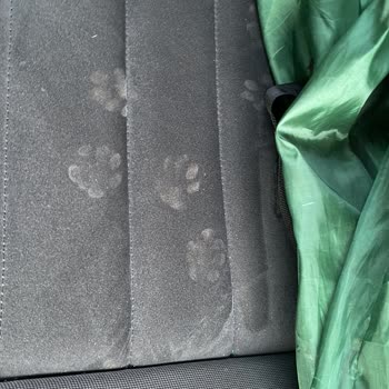 Volkswagen Adana'da Araç Servis Deneyimi