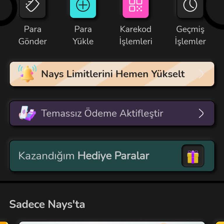 Nays'a Arkadaşımı Getirdim Paramı Vermediler