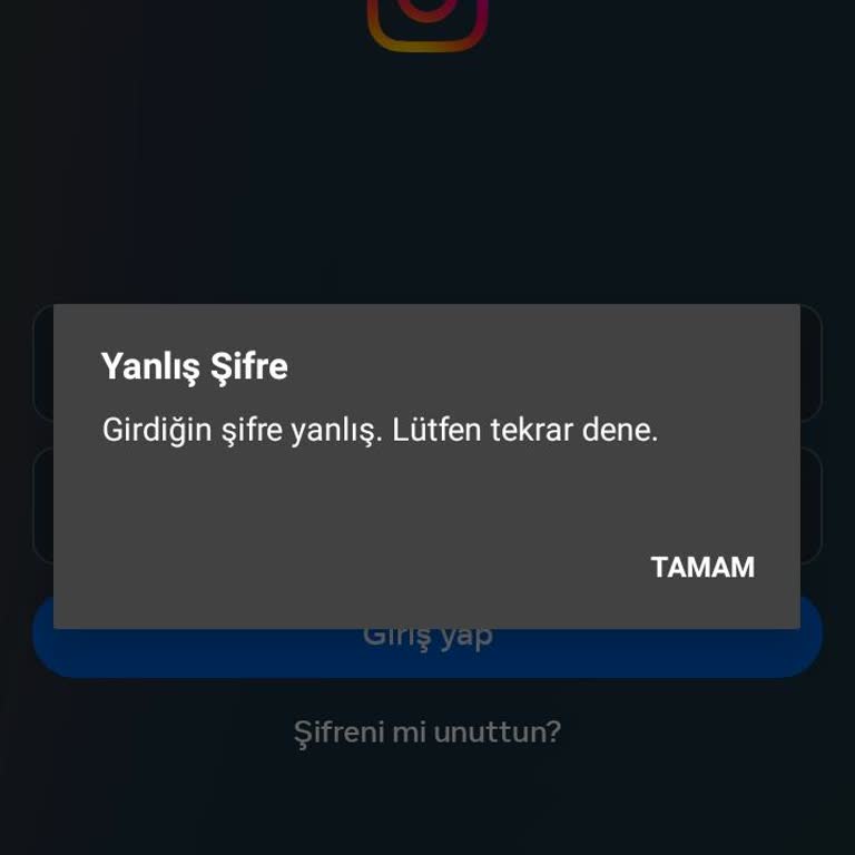 Instagram'a Giriş Yapamıyorum