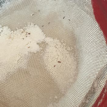 A101 Altı Patlayan Un Paketini Bantlamış Ve Un Tamamen Böceklenmiş