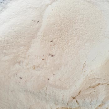 A101 Altı Patlayan Un Paketini Bantlamış Ve Un Tamamen Böceklenmiş