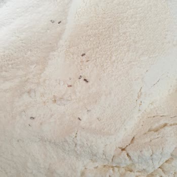 A101 Altı Patlayan Un Paketini Bantlamış Ve Un Tamamen Böceklenmiş