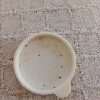 Lav Silikon Kapaklarında Küf Sorunu