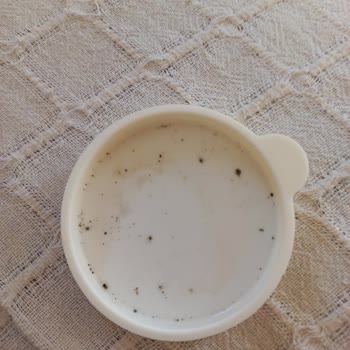 Lav Silikon Kapaklarında Küf Sorunu