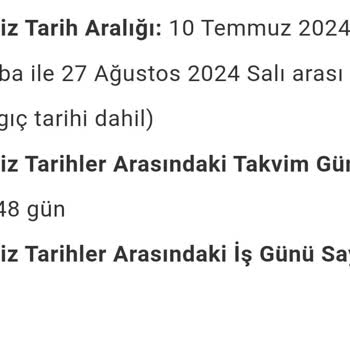 Tineco Yetkili Servisin Bozuk Ürünü Sağlam Diye Geri Göndermesi