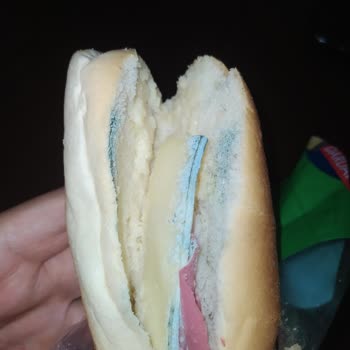 Dardanel Bozuk Sandviç Ürünü!