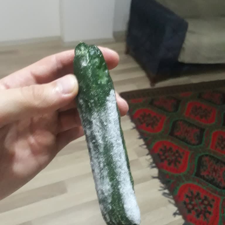 Beko Buzdolabı Sebzelik Bolumu Buz Tutuyor