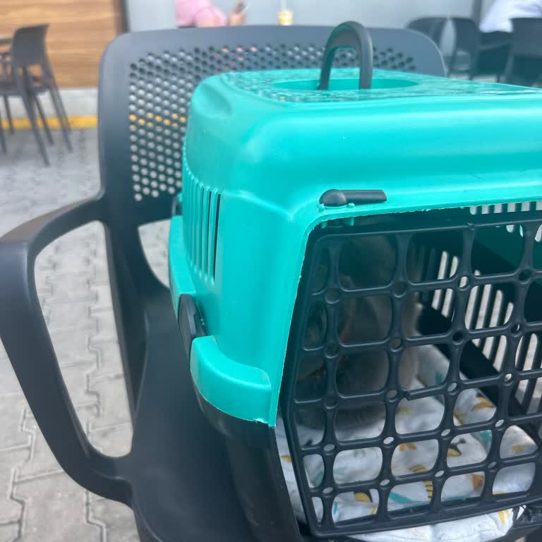 McDonald's'ta Her Gün Yeni Kural