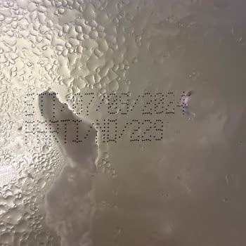 Berk Süt Mamülleri Bert Süt Çiftliği Yoğurt Ekşimesi