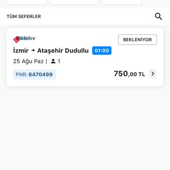 Nilüfer Turizm Bu Konu Hakkında Ücret İademin Olmasını İstiyorum