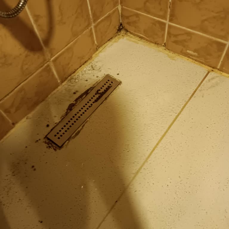 Golden Age Bodrum Pis Ve Yetersiz Hizmet İle Kötü Deneyim