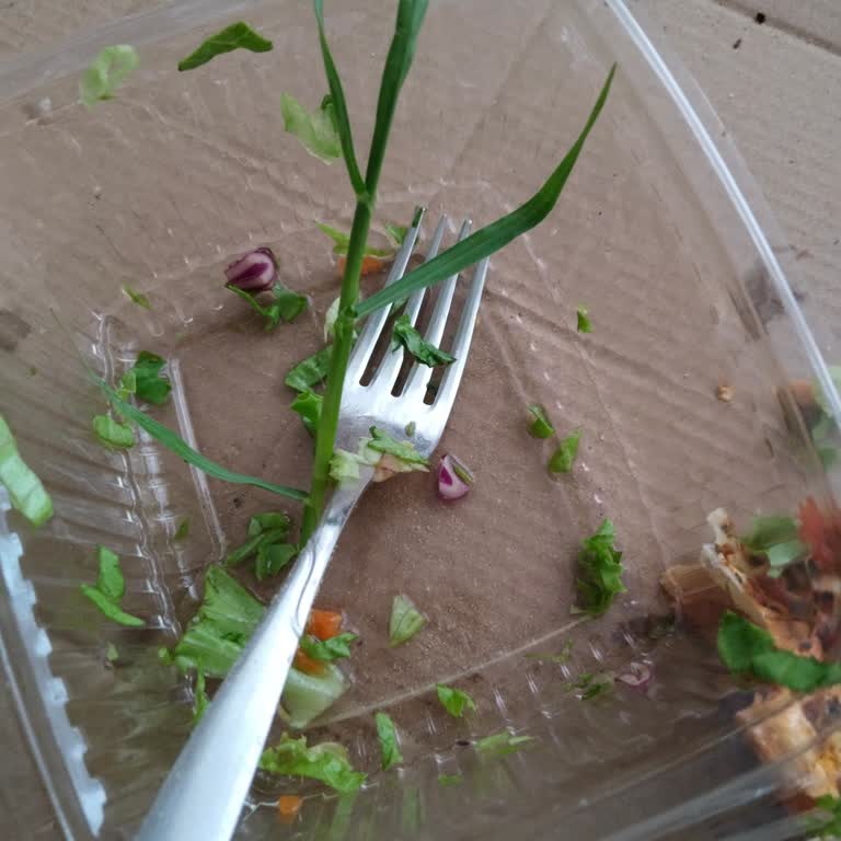 Harput Kebap (Sultanbeyli) Restoranda Kalitesiz Hizmet Ve Yemek Sorunları