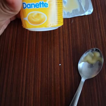 Danette Muzlu Pudingin İçinden Çıkan Ne Olduğu Belli Olmayan Parçalar