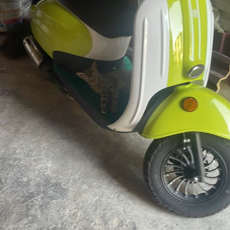 Mondial Motor Kafa Bölümünün Tırnakları Kırıldı