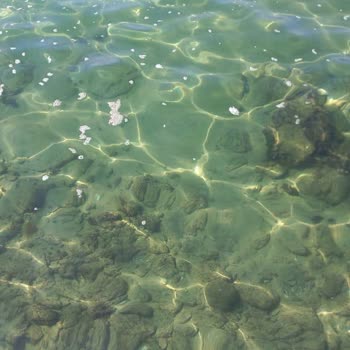 Fantasia Hotel De Luxe Kuşadası'nda 25 Yıldır Süregelen Çevre Kirliliği Sorunu!