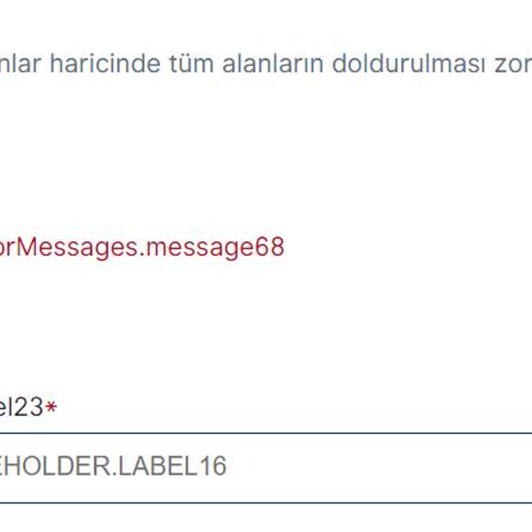 VFS Global Randevu Alamıyorum!