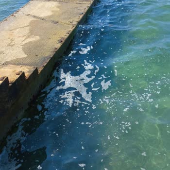 Kuşadası Belediyesi Kuşadası'nda 25 Yıllık Temizlik Sorunu Ve İlgisizlik