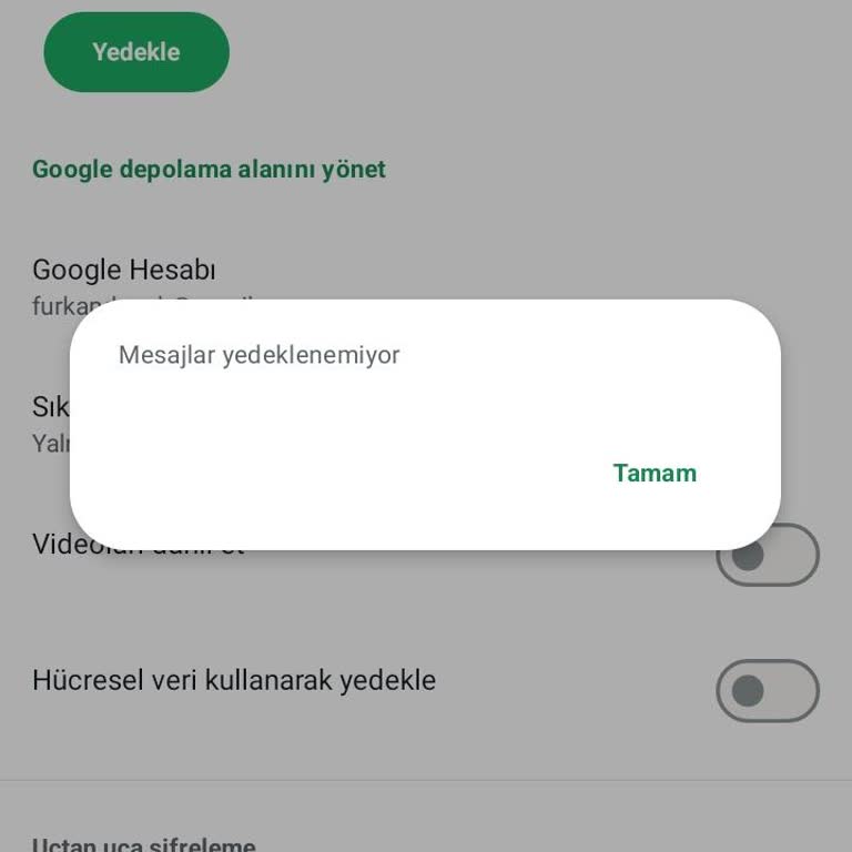 Oppo A55 WhatsApp Yedeklenmiyor